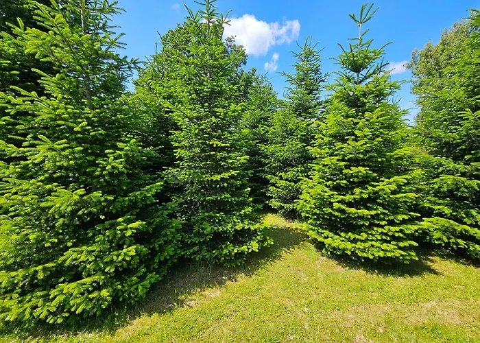 Lägenhet Und Lerchl *